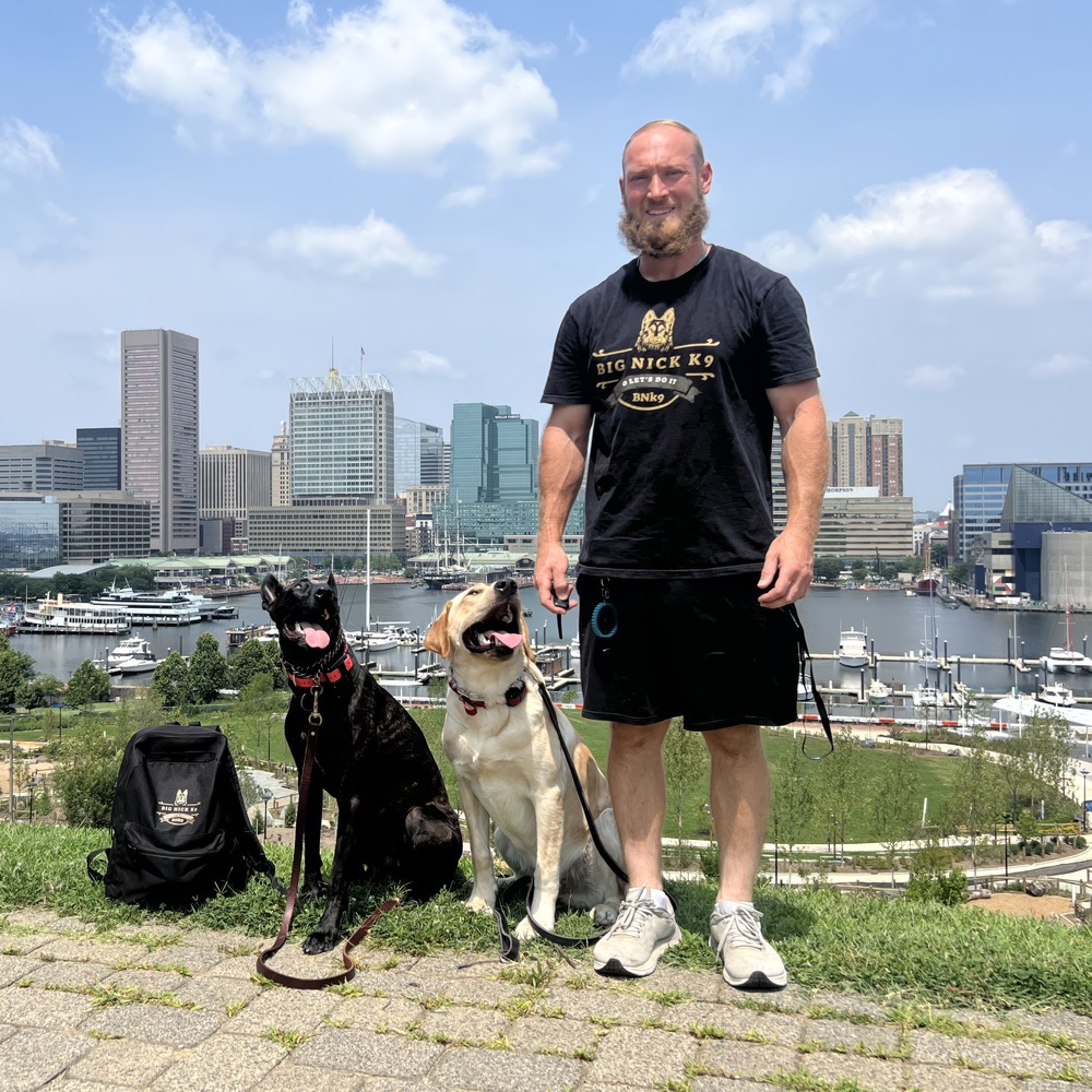 Nick Gallina with a black shepherd mix and a yellow Labrador sitting at his side on the hill above Baltimore&rsquo;s Inner Harbor